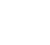 AXONS