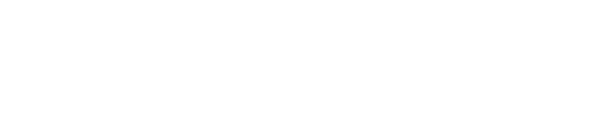True Digital Group (TDG)